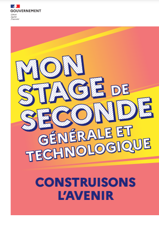 affiche mon stage de seconde