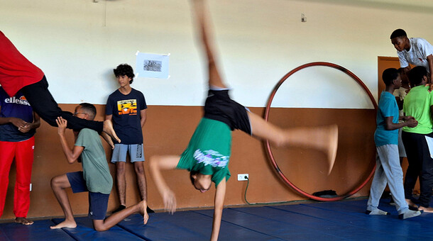Cirque social 2024
