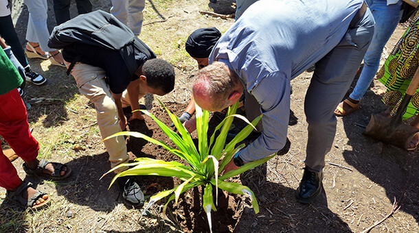 Plantation d'arbres dans le collège