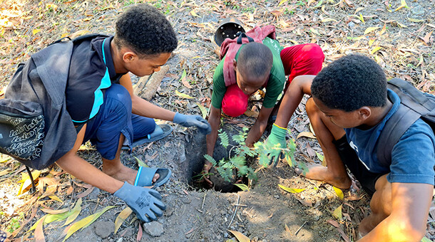 Plantation d'arbres au collège